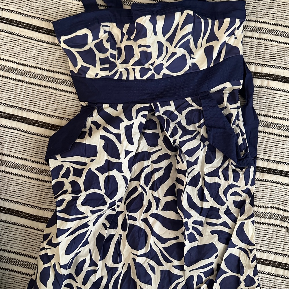 City Triangles Blue and White Dress